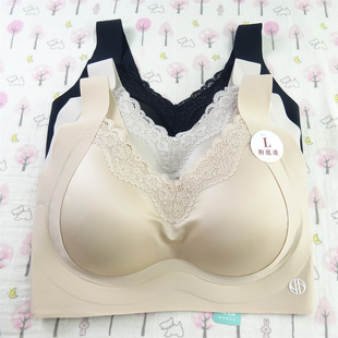 韩雅蓓丝228薄棉B杯无钢圈蕾丝粉底液文胸固定杯美背舒适无扣内衣