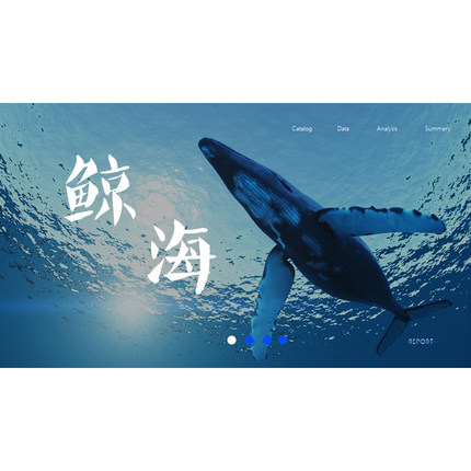 XY109鲸海ppt模版蓝色大海艺术展览汇报大气海洋年终总结极简述职