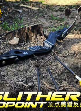 顶点 美猎反曲弓Slither 21美式猎弓金属弓把射箭CNC加工17 19寸
