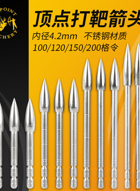 顶点射准内插箭头打靶内径4.2mm箭头100/120/150/200格令 12支装
