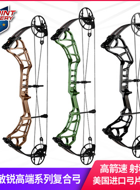 顶点 2023款 敏锐系列高端 复合弓弓箭套装 高箭速猎弓 射程远