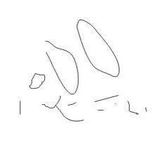 服装辅料服装辅料服装辅料