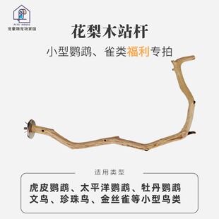 花梨木山梨木铁木天然啃咬磨爪文鸟珍珠鸟虎皮小型鹦鹉站杆专拍