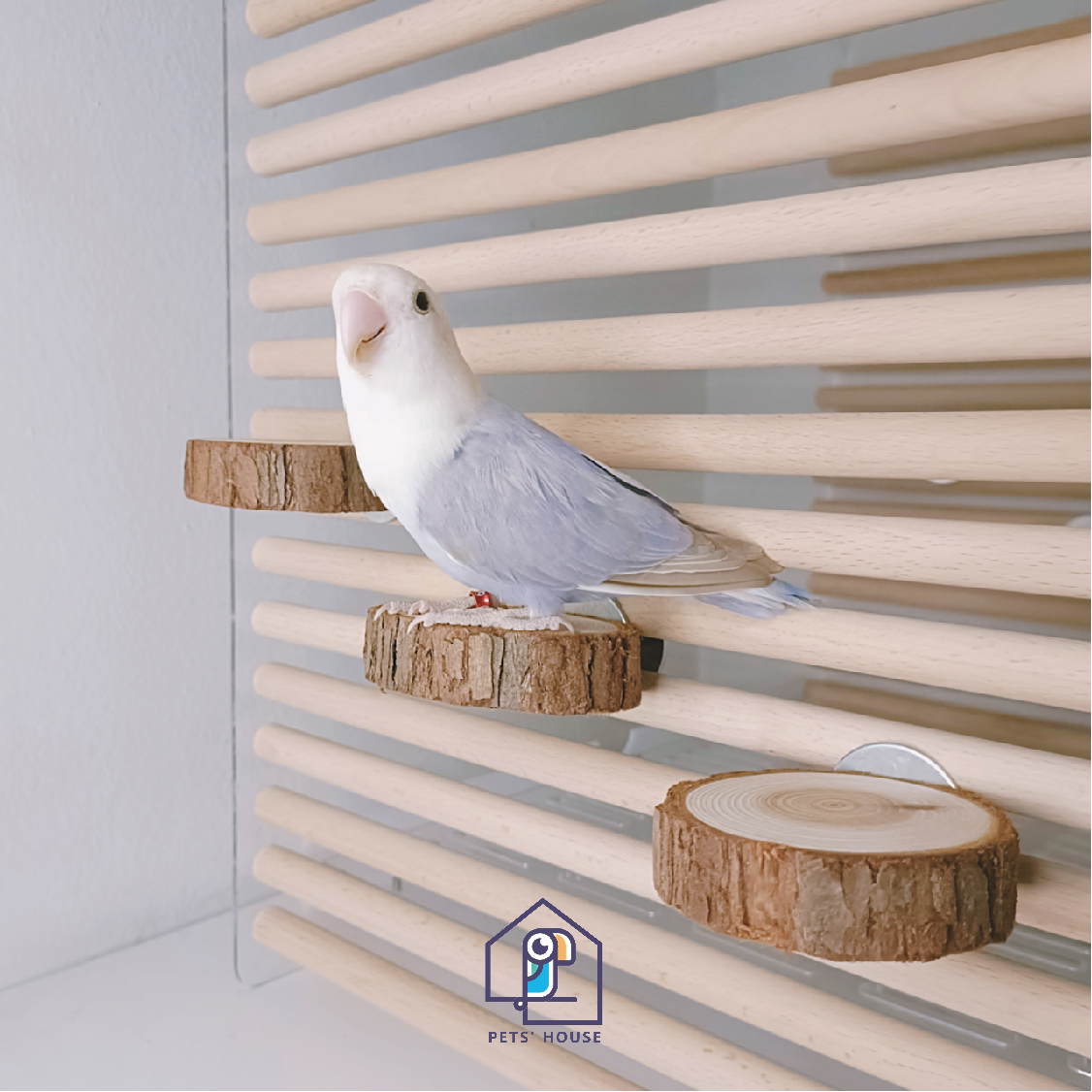 鸟站台杉木鹦鹉玩具秋千用品