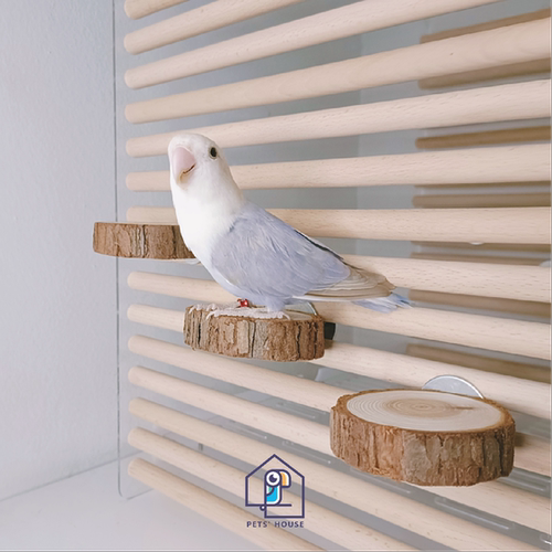 鸟站台杉木鹦鹉玩具秋千用品