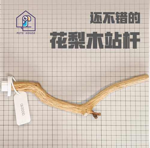 花梨木山梨木铁木天然啃咬磨爪站杆宠物鹦鹉鸟笼子用品一物一拍