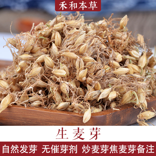 生麦芽中药材500g无硫罗大伦泡水另有炒麦芽焦麦芽禾和本草包邮