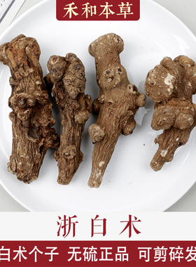 浙白术经方中药材杭白术整个个子无硫三年贡白术於术冬术禾和本草