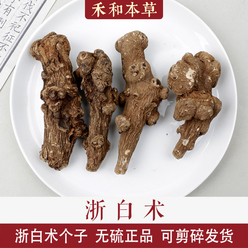 浙白术经方中药材杭白术个子