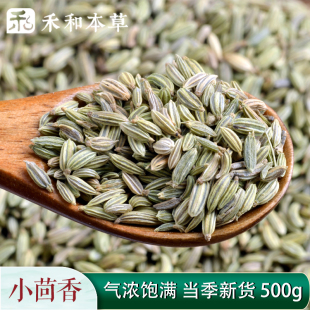 正宗小茴香药材500g泡茶调料海原小回香新货荤香籽禾和本草包邮