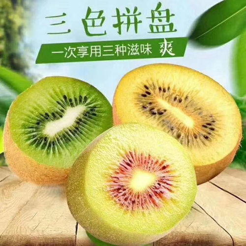 西峡县猕猴桃红黄绿心拼装奇异果