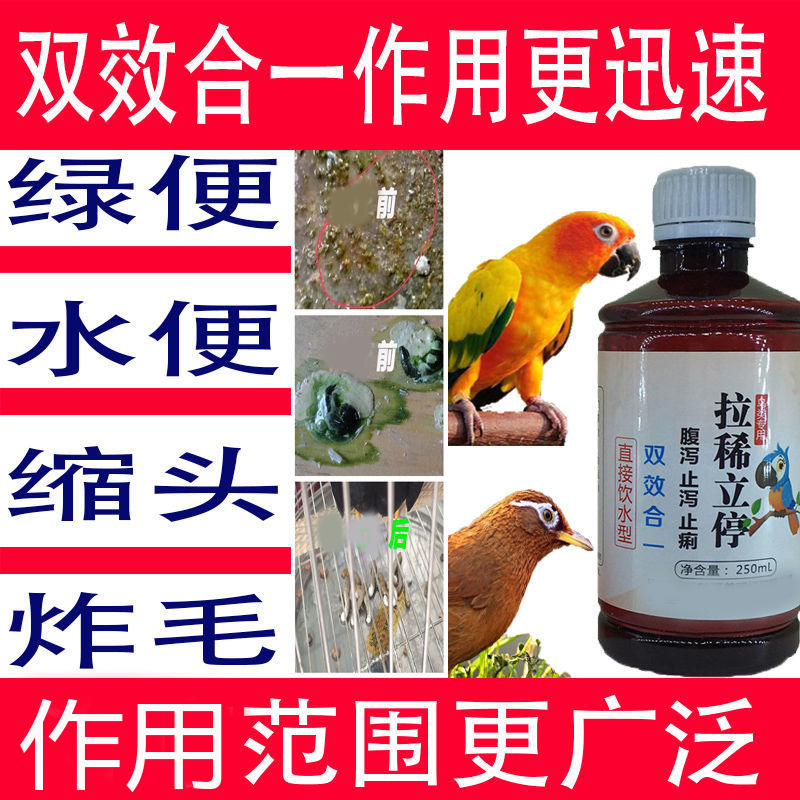 抗拉稀消炎鹦鹉鸽子鹩哥八哥画眉绿色粪便腹泻治疗肠炎