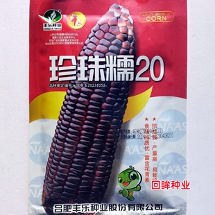 珍珠糯20/28黑甜糯玉米种子甜糯1比3非转基因黑玉米种子春夏季播