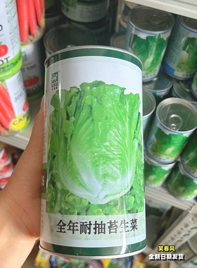 全年耐抽苔生菜种籽青绿色大叶生菜种子耐热耐寒蔬菜种孑四季播种