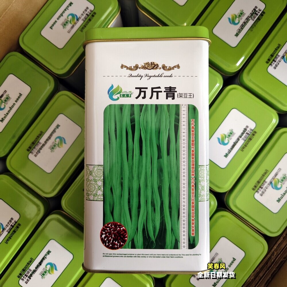 万斤青架豆王种子抗病中早熟厚肉翠绿四季豆角种籽南北方春秋季播