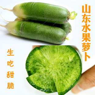 山东水果青萝卜种子秋季春季四季生吃潍坊沙窝杂交罗卜种籽种孑