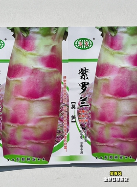 紫罗兰莴笋种子薄皮香脆口感好紫皮绿肉莴苣种籽农家春秋季播种孑