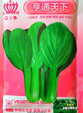 亨通天下青梗菜种子一代杂交耐热耐寒翠绿油亮农家春夏秋季播