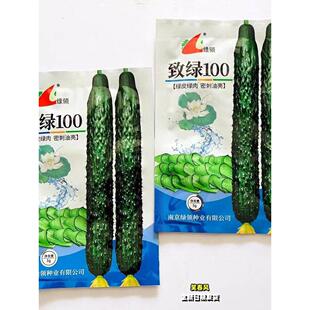 致绿100黄瓜种籽孑黑油亮绿皮绿肉农家春秋季播杂交黄瓜种子