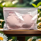 英文文胸包装 袋抹胸美背胸罩拉链袋内衣透明磨砂袋横拉现货