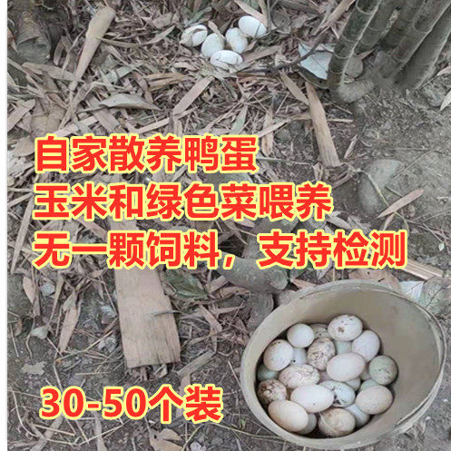 正宗土鸭蛋新鲜 笨鸭蛋柴鸭蛋 无激素鸭蛋支持实地查看农村土鸭蛋