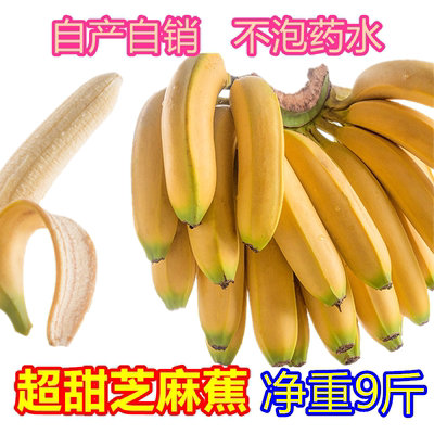 新鲜大香蕉超甜芝麻蕉非广西粉蕉