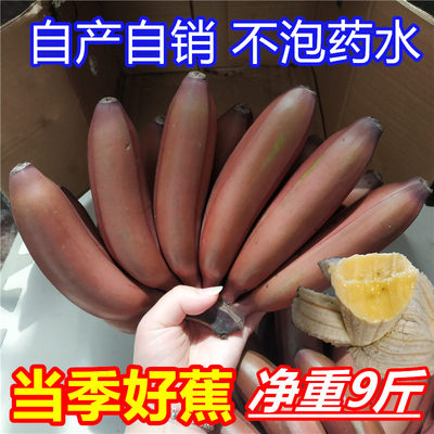 红皮香蕉新鲜香焦红色蕉