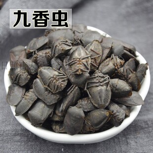 正品野生九香虫大个黑兜新货虫蜣螂虫打屁虫无杂质200克