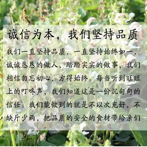 正宗白花丹参山东特产大片10年以上切片手选大片红根红参白花丹参