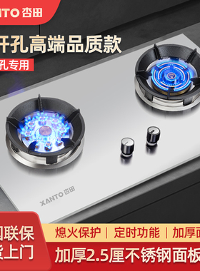 杏田 39猛火灶600小尺寸开孔燃气灶嵌入式不锈钢家用天然气双炉灶