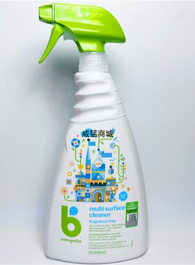 爬行垫玩具清洁液甘尼克宝贝946g