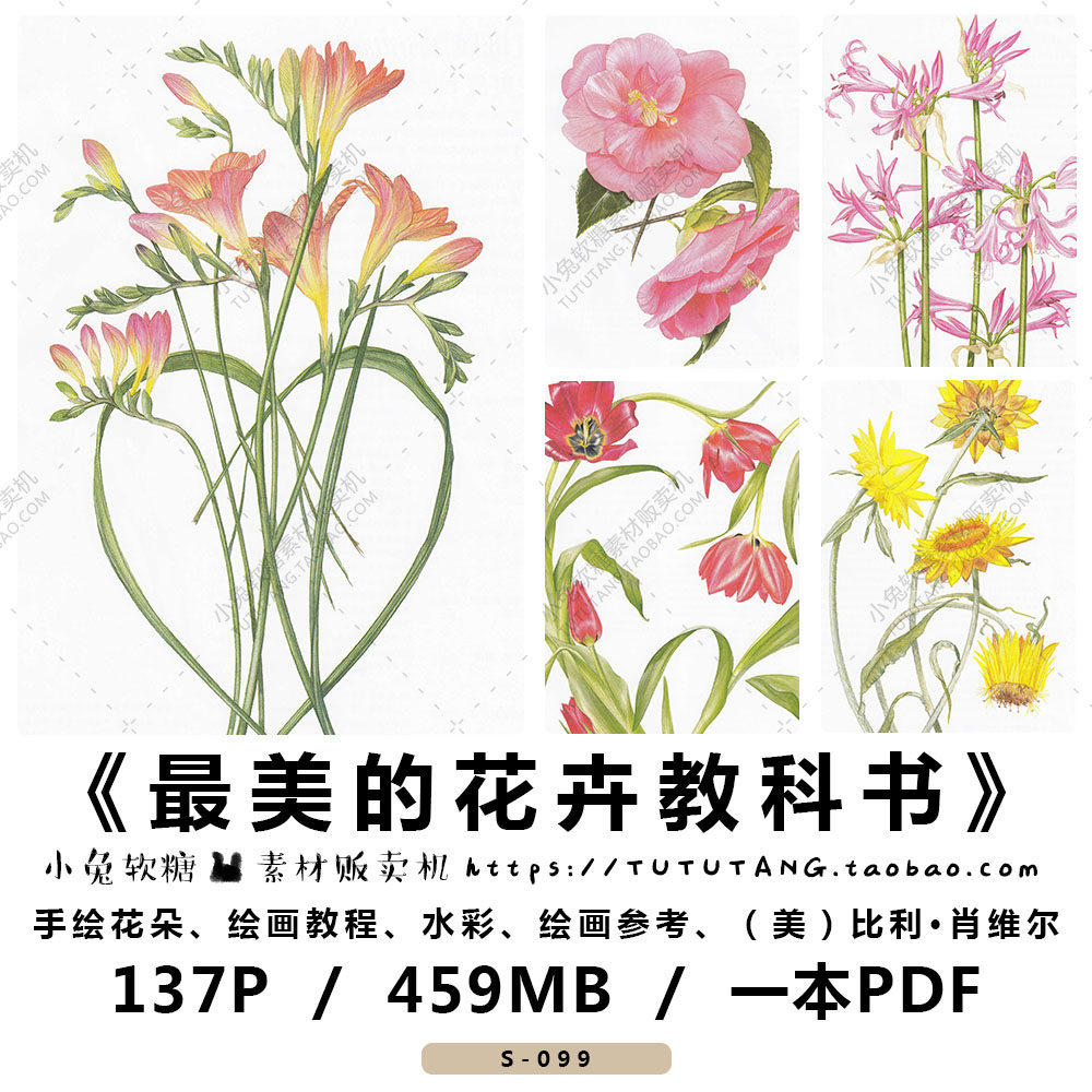 花朵手绘水彩绘画教材 花卉教科书教程 高清图片素材  比利肖维尔