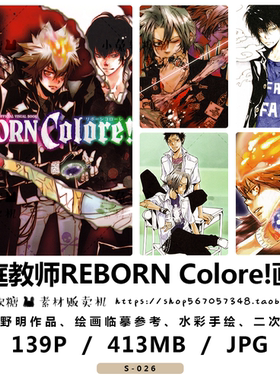 家庭教师REBORN Colore!原画集 天野明作品 绘画临摹参考热血动漫