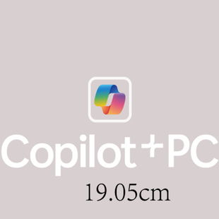 曼联女足欧冠赞助19.05cm 热转印印字印号