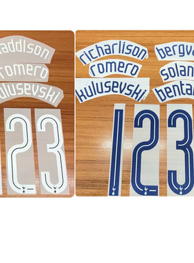 2425热刺主客场欧冠印字7号孙兴慜37号范德芬麦迪逊热转印印号