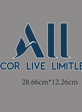 巴黎欧冠accor live limitless热转印烫画印字