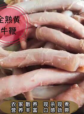 全熟新鲜黄牛鞭1斤高蛋白营养