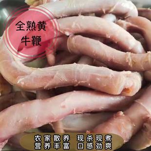 全熟黄牛牛鞭 新鲜熟牛鞭 纯黄牛鞭1斤 全熟牛杂 高蛋白高营养