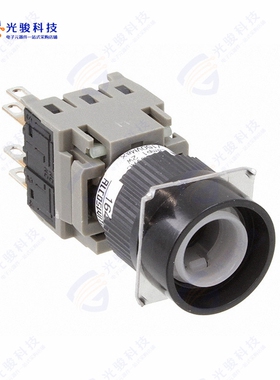 164EL11 《SWITCH PUSH DPST-NO/NC 5A 250V》