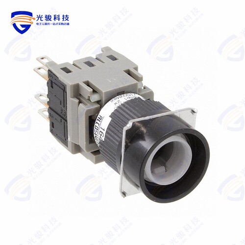164EL11 《SWITCH PUSH DPST-NO/NC 5A 250V》