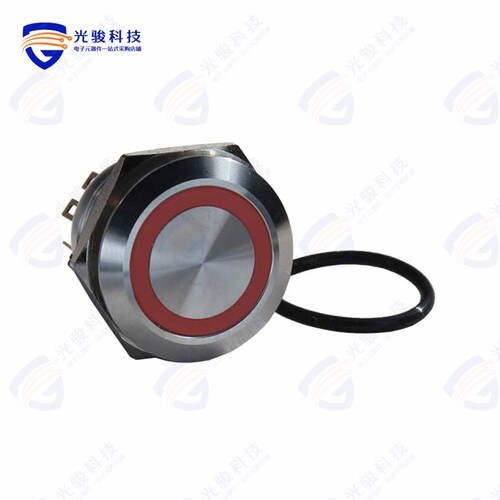 DH221NBSR24 《ILLUMINATED, IP67 ANTI-VANDAL SW》
