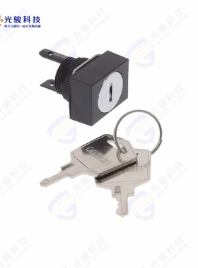 A165K-J3MA 《CONFIG SW BODY KEYLOCK NON-ILLUM》