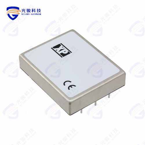 RDC40110S3V3《DC DC CONVERTER 3.3V 40W》