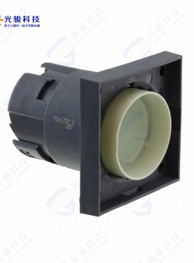 704.731.1 《ILLUMINATED PUSHBUTTON-ACTUATOR》
