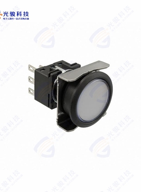 LBW6L-M1T54PW 《LBW FLUSH ILLD PB MOME. PW》