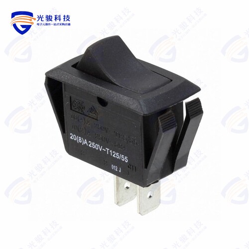 RSC441D1100 《SWITCH ROCKER SPST 20A 125V》