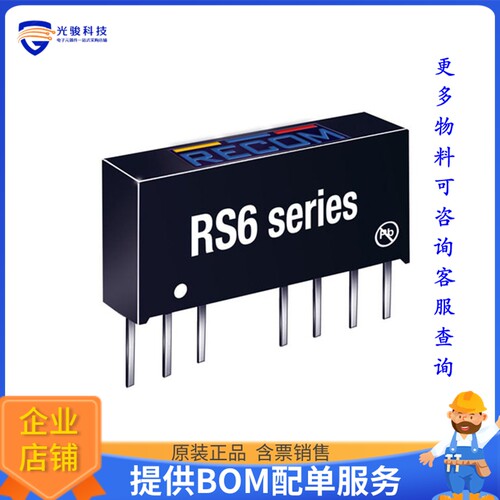 RS6-2405S电源模块【DC DC CONVERTER 5V 6W】