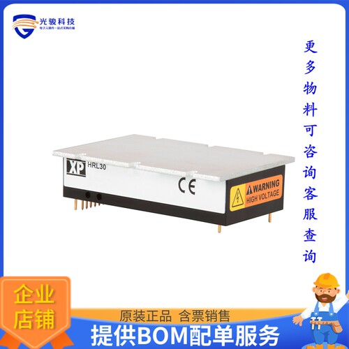 HRL3024S3K0P电源模块【DC DC CONVERTER 3000V 30W】
