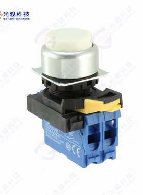 A22NN-RPM-NWA-G101-NN 《SWITCH PUSH DPST-NO 10A 120V》