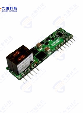DNK12S0A0R30NFA《DC DC CONVERTER 0.8-5.5V 165W》